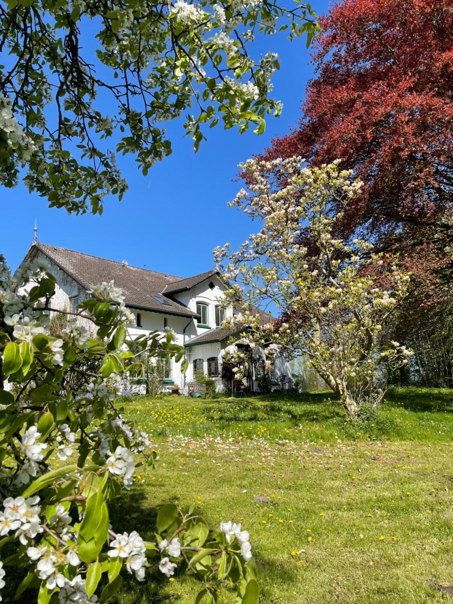 Moderswarft * Koldenbuttel